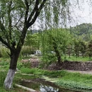 宁波旅游 缩略图 10