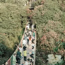 遵义旅游 缩略图 6