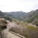 宁波旅游 缩略图 2