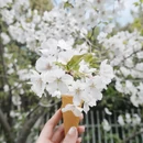 宁波旅游 缩略图 5