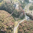 遵义旅游 缩略图 8
