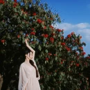 毕节旅游 缩略图 6