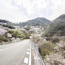 宁波旅游 缩略图 3