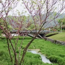 宁波旅游 缩略图 14