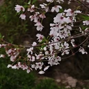 宁波旅游 缩略图 5