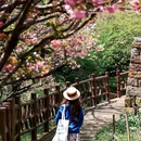 宁波旅游 缩略图 8