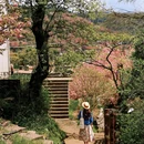 宁波旅游 缩略图 10