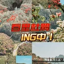遵义旅游 缩略图 1