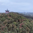 遵义旅游 缩略图 2