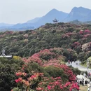 遵义旅游 缩略图 3