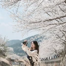 宁波旅游 缩略图 1