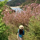 宁波旅游 缩略图 12