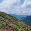 宁波旅游 缩略图 13