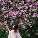 毕节旅游 缩略图 1