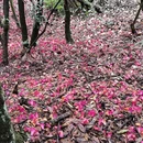 遵义旅游 缩略图 5