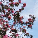 遵义旅游 缩略图 6