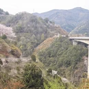 宁波旅游 缩略图 5