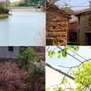 宁波旅游 缩略图 18