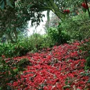 毕节旅游 缩略图 4