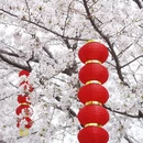 合肥旅游 缩略图 3