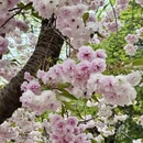 北京旅游 缩略图 5