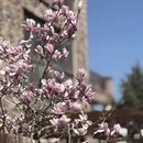 秦皇岛旅游 缩略图 6
