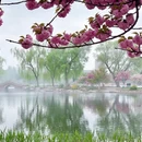 北京旅游 缩略图 4