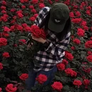 成都旅游 缩略图 1