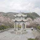 宁波旅游 缩略图 13