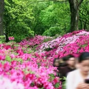 无锡旅游 缩略图 3