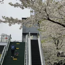 宁波旅游 缩略图 2