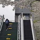 宁波旅游 缩略图 1