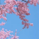 宁波旅游 缩略图 5
