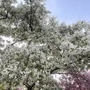 北京旅游 缩略图 13