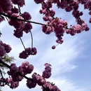 北京旅游 缩略图 6