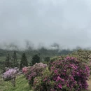 黄山旅游 缩略图 10