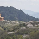 宁波旅游 缩略图 15