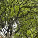 长沙旅游 缩略图 13