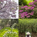 长沙旅游 缩略图 1