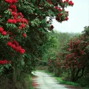 毕节旅游 缩略图 9