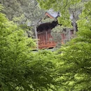黄山旅游 缩略图 15