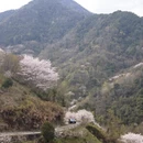 宁波旅游 缩略图 6