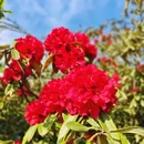 遵义旅游 缩略图 9