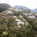 宁波旅游 缩略图 7