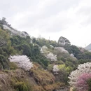 宁波旅游 缩略图 8