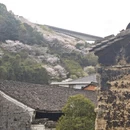 宁波旅游 缩略图 9