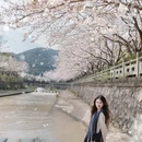 宁波旅游 缩略图 11