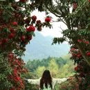 毕节旅游 缩略图 1