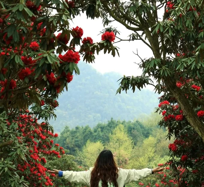 毕节旅游 1