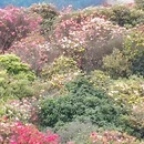 遵义旅游 缩略图 11